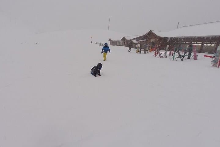 Shiga Hakodateyama Ski Resort Tour from Kyoto or Osaka — photo 7