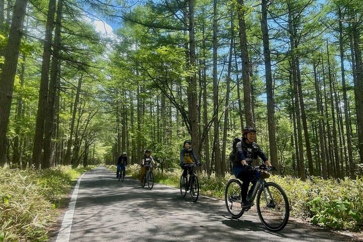 Nikko: Lake Chuzenji Hidden Beach E-Bike Tour with Lunch — photo 2