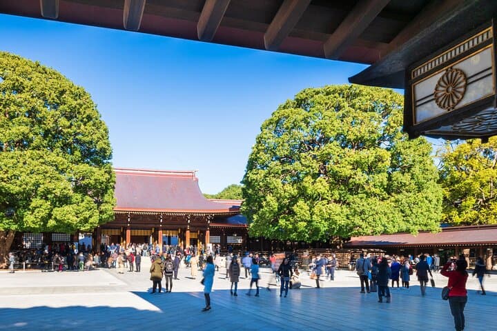 Tokyo Private Guided 1/2-Day Walking Subway Tour English guide — photo 1