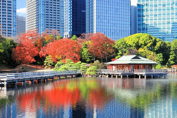 Tokyo Afternoon Tour with Pick-up Service from designated hotels — photo 10