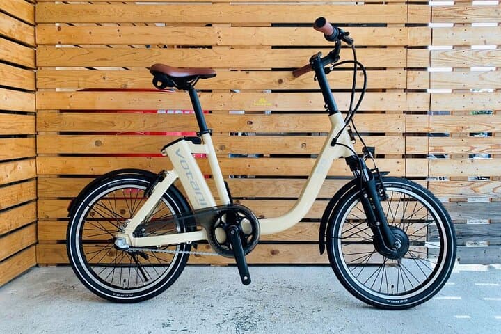Lake Biwa Casual E Bike Rental — photo 2