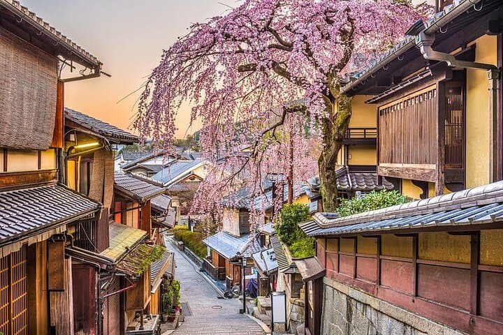 Full Day at the Top UNESCO Sites in Kyoto 360 — photo 6