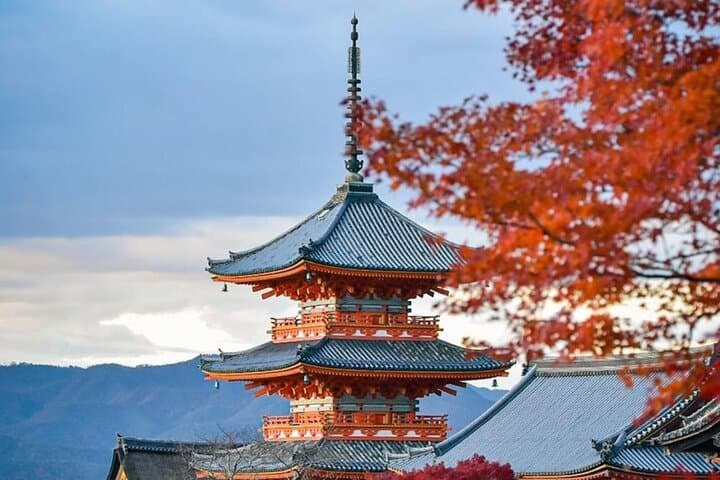 Kyoto Private Customized Day Tour with Guide — photo 4