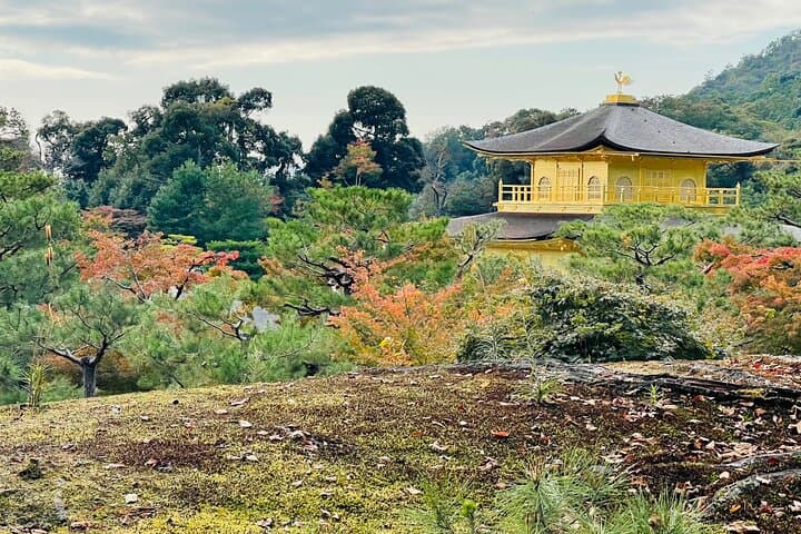 Kyoto Private Customized Day Tour with Guide — photo 10