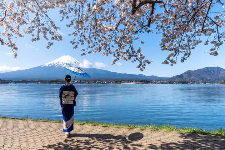 Mt. Fuji Oshino Hakkai and Gotemba Outlets Tour — photo 1