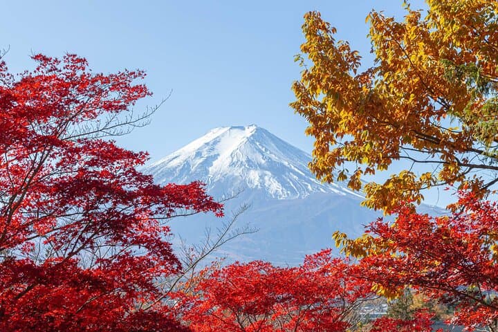 Mt. Fuji Oshino Hakkai and Gotemba Outlets Tour — photo 5