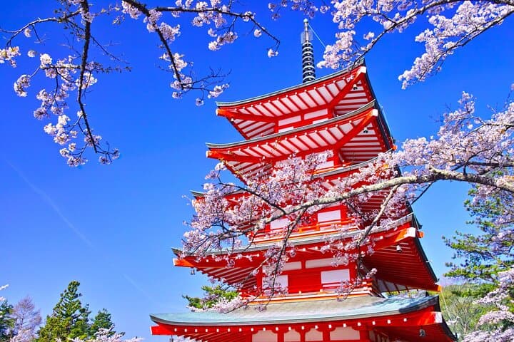 Mt. Fuji Oshino Hakkai and Gotemba Outlets Tour — photo 12