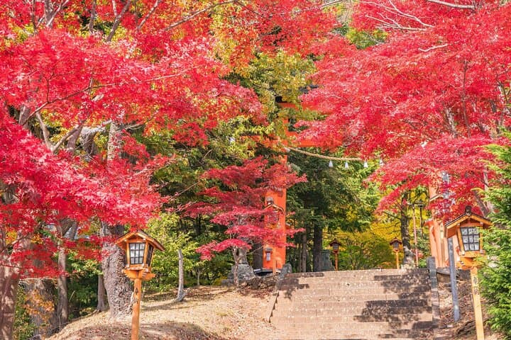 Mt. Fuji Oshino Hakkai and Gotemba Outlets Tour — photo 14