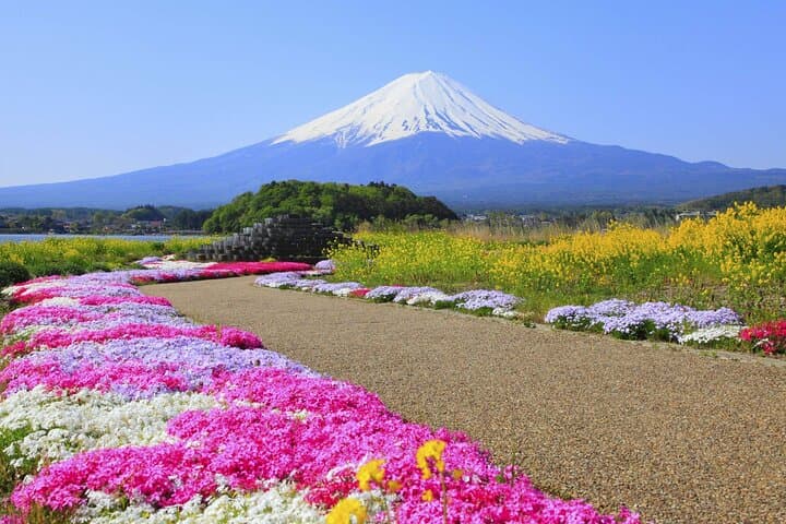 Mt. Fuji Oshino Hakkai and Gotemba Outlets Tour — photo 17