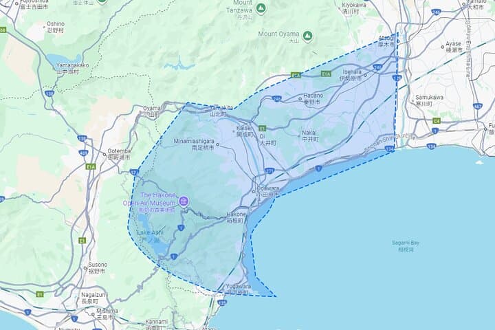 Lake Ashi Hakone Owakudani Kowakien with daily chauffeur — photo 5