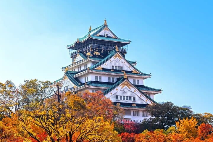 Osaka Essentials Private Tour: Perfect for First-Time Visitors — photo 8