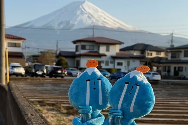 Mt. Fuji Scenic Lakes and Oshino Hakkai Private Tour — photo 5