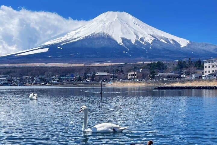 Mt. Fuji Scenic Lakes and Oshino Hakkai Private Tour — photo 2
