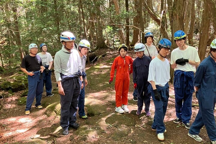 Exploring Mt Fuji Ice Cave and Sea of Trees Forest — photo 3