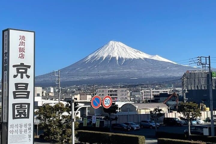 Tokyo to Mount Fuji Private Guided Experiences — photo 3