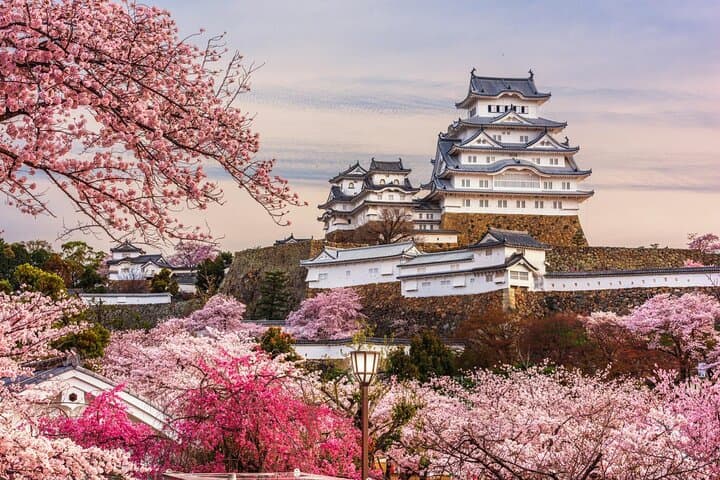 Himeji and Kobe Luxury Day Tour with Guide From Kyoto/Osaka — photo 3