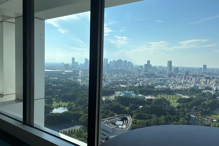Tokyo Guest House and Imperial Residence Aerial View Experience — photo 4