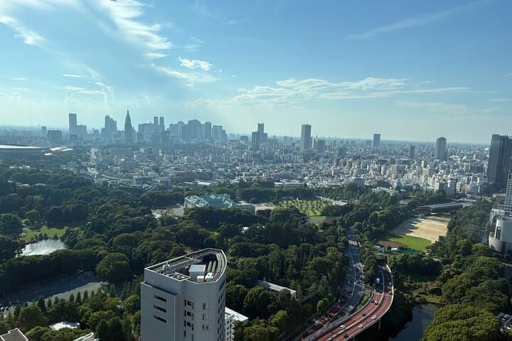 Tokyo Guest House and Imperial Residence Aerial View Experience — photo 13