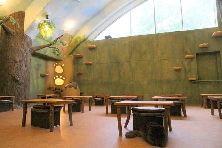 Tokyo Cat Café in Kichijoji - Forest Themed — photo 5
