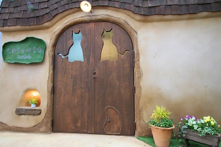 Tokyo Cat Café in Kichijoji - Forest Themed — photo 2