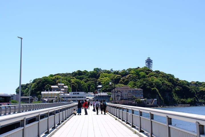Kamakura, Enoshima & Kotoku-in Great Buddha from Tokyo (Private) — photo 7