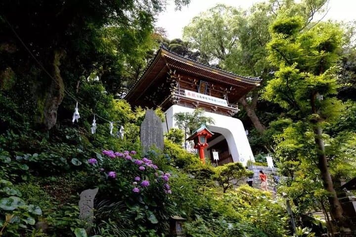 Kamakura, Enoshima & Kotoku-in Great Buddha from Tokyo (Private) — photo 3