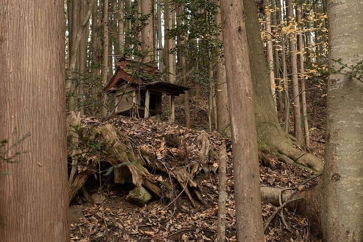 Satoyama Life: Adventures & Dining in Shiobara Onsen — photo 2
