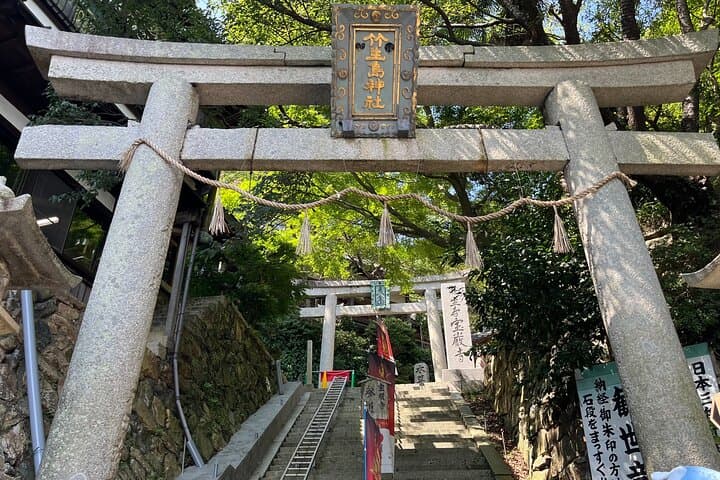 Half-Day Private Guided Tour to Chikubushima, from Kyoto — photo 7