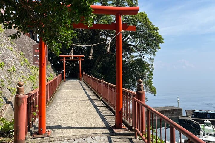 Half-Day Private Guided Tour to Chikubushima, from Kyoto — photo 9