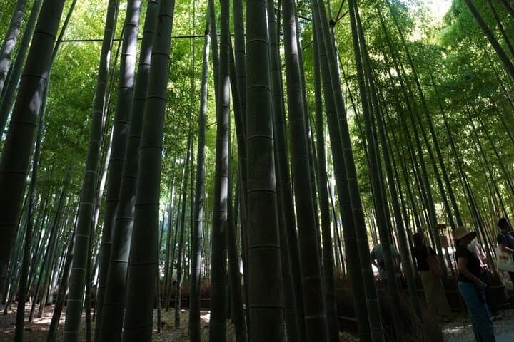 Kamakura Early Morning Tour (Tokyo Departure Available) — photo 5
