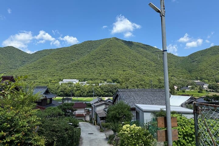 Tamba-yaki Pottery Kiln Tour with English Guide — photo 9