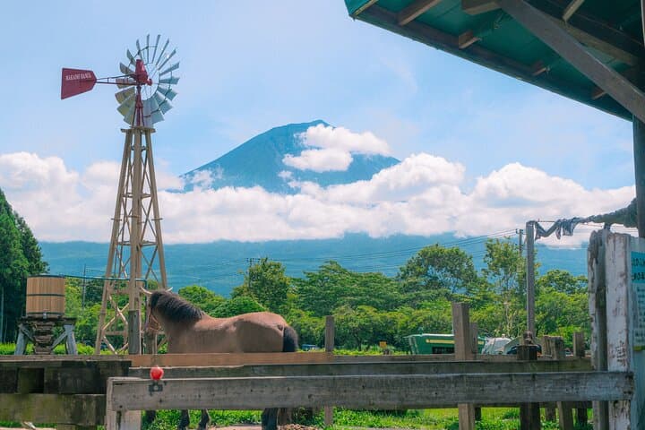 From Tokyo Mt.Fuji, Lake Kawaguchi, Makaino Farm day tour — photo 11