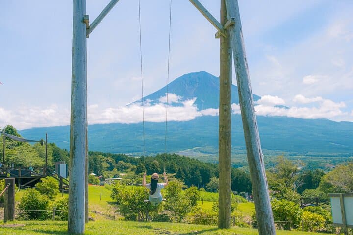 From Tokyo Mt.Fuji, Lake Kawaguchi, Makaino Farm day tour — photo 12