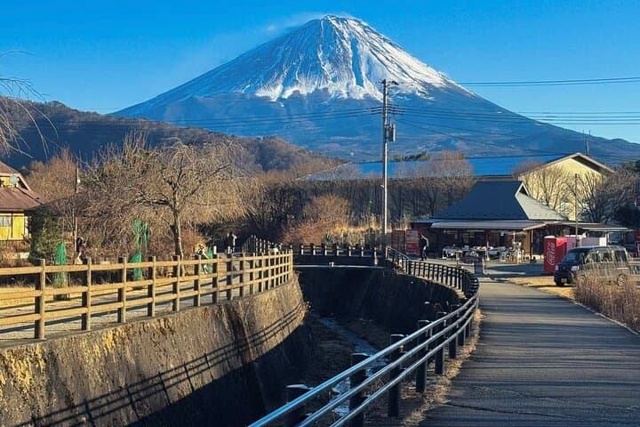 From Tokyo Mt.Fuji, Lake Kawaguchi, Makaino Farm day tour — photo 7