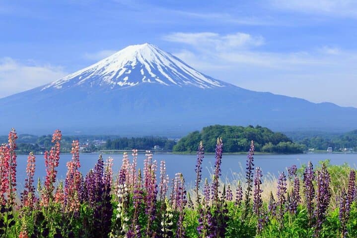 Mt. Fuji Day Trip Arakurayama Sengen and Instagrammable Lawson — photo 1