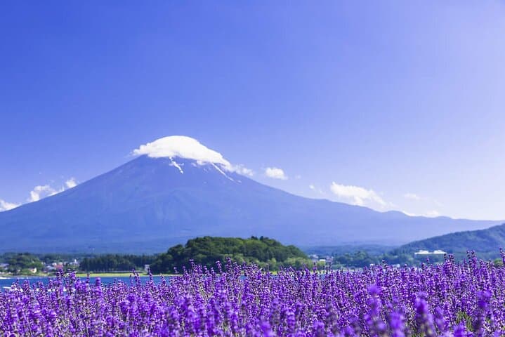 Mt. Fuji Day Trip Arakurayama Sengen and Instagrammable Lawson — photo 7