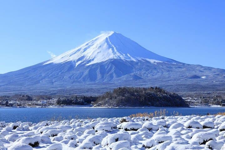 Mt. Fuji Day Trip Arakurayama Sengen and Instagrammable Lawson — photo 8