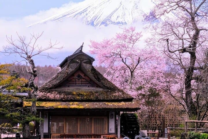 Mt. Fuji Day Trip Arakurayama Sengen and Instagrammable Lawson — photo 12