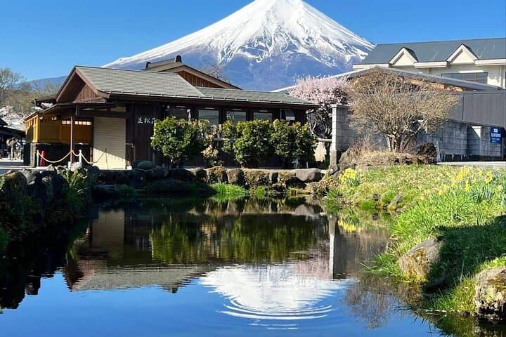 Mt. Fuji Day Trip Arakurayama Sengen and Instagrammable Lawson — photo 14