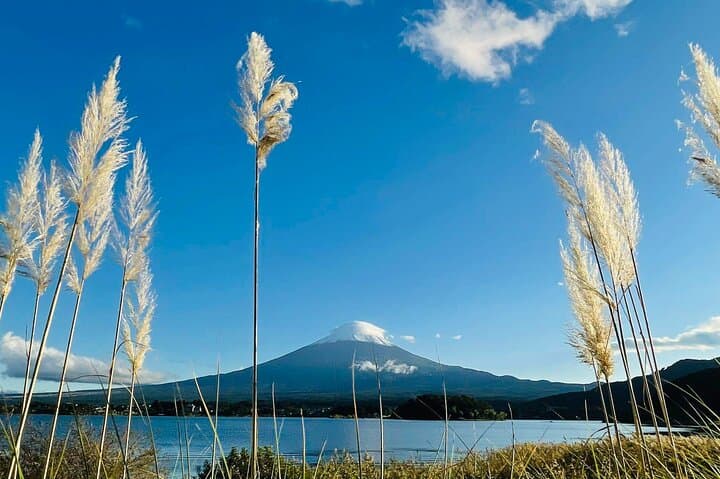 Mt. Fuji Day Trip Arakurayama Sengen and Instagrammable Lawson — photo 15