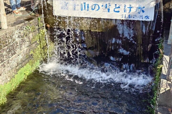 Mt. Fuji Day Trip Arakurayama Sengen and Instagrammable Lawson — photo 16