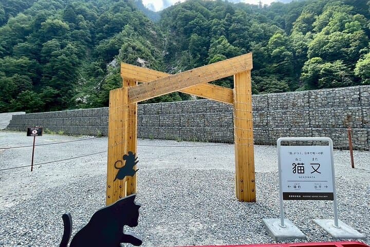 Kurobe Gorge Railway Private Tour — photo 6