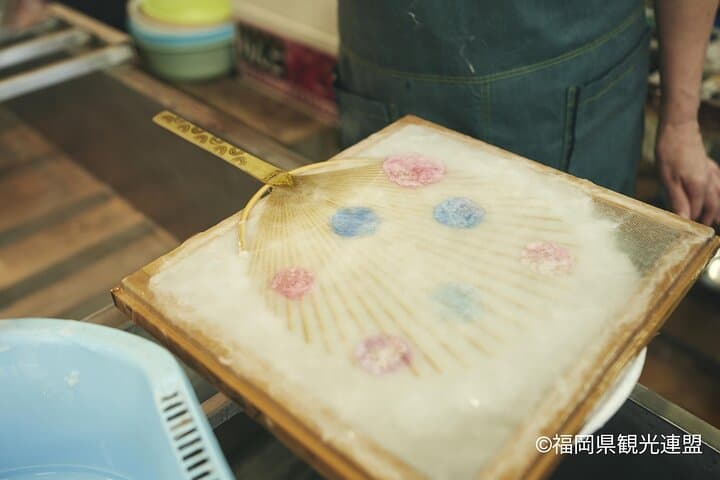 Yanagawa River Cruise and Yame Tea Fukuoka Private Tour — photo 5