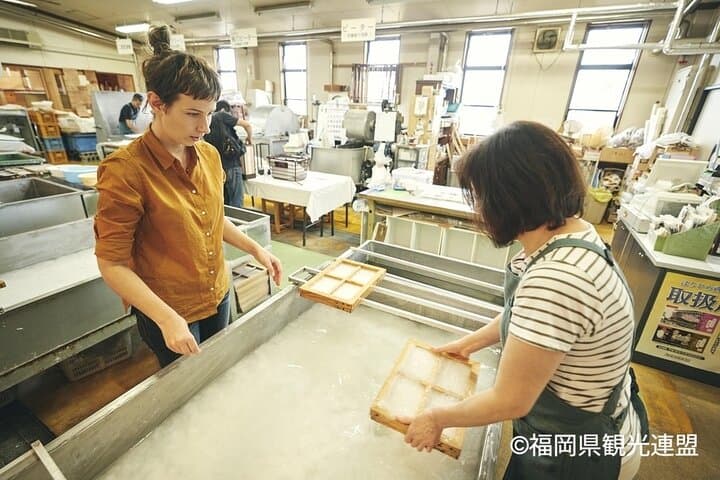 Yanagawa River Cruise and Yame Tea Fukuoka Private Tour — photo 6