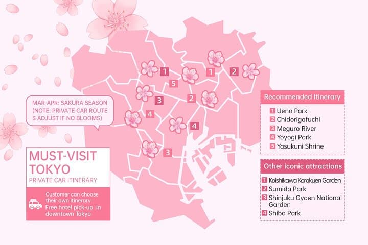 Tokyo City Cherry Blossom Private Sightseeing Tour — photo 2