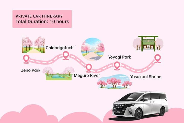 Tokyo City Cherry Blossom Private Sightseeing Tour — photo 3