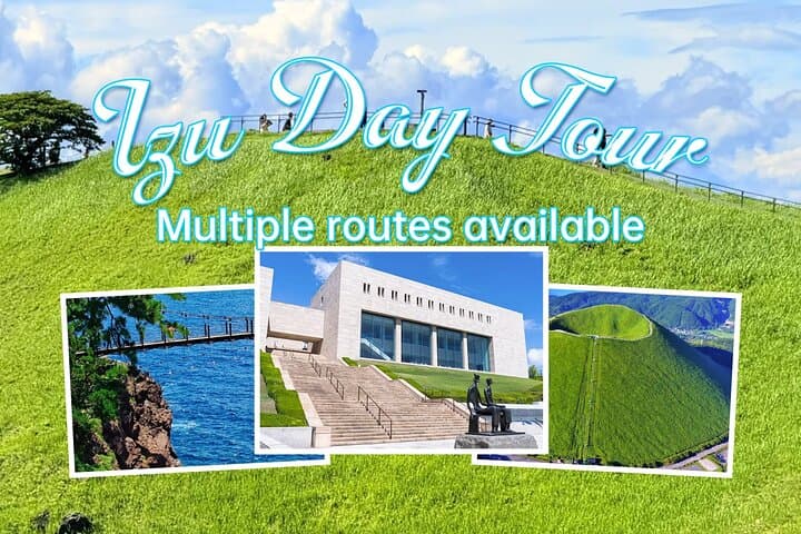 From Tokyo:Private One Day Tour to Izu — photo 1