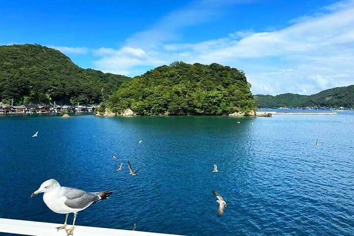 Amanohashidate & Ine Boathouse Full-Day Tour from Kyoto or Osaka — photo 13