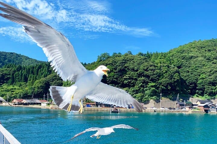 Amanohashidate & Ine Boathouse Full-Day Tour from Kyoto or Osaka — photo 15