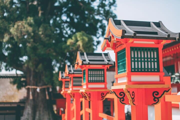 Nara Deer Park, Uji Matcha, & Hot Spring Full-Day Tour from Osaka — photo 9